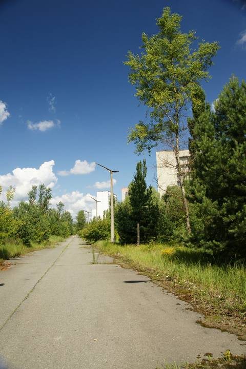 Fot. Andrzej_K, Lic. CC